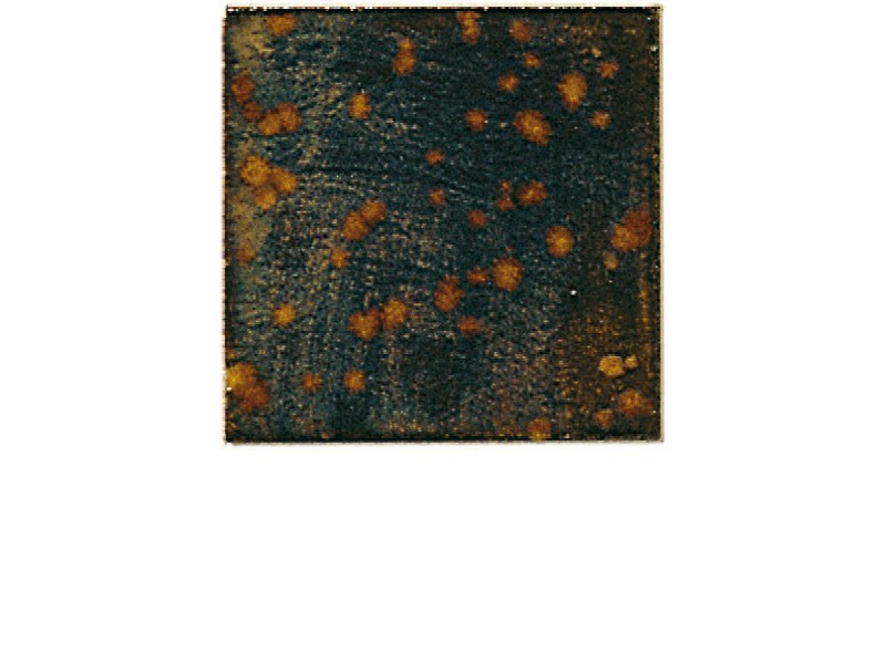 F9533 - ŽELEZOV KAMEN   800ml