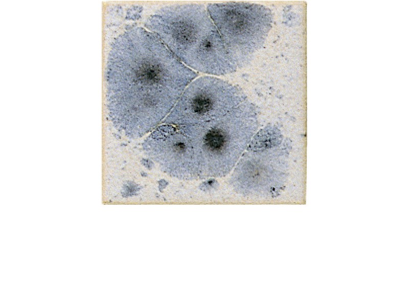 F9537 - MISTRAL  800ml