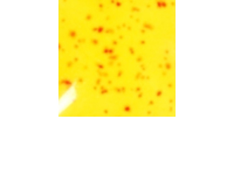 GIN1209 - NEON RU S SP 118ml